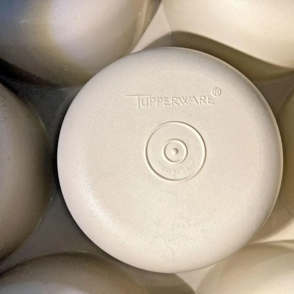 Vintage Tupperware Divided Party Tray is a large, round bowl with more than 5